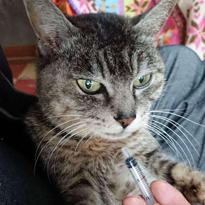 14193d44 926a 446a b5a2 8053e4064a24 1585172683390