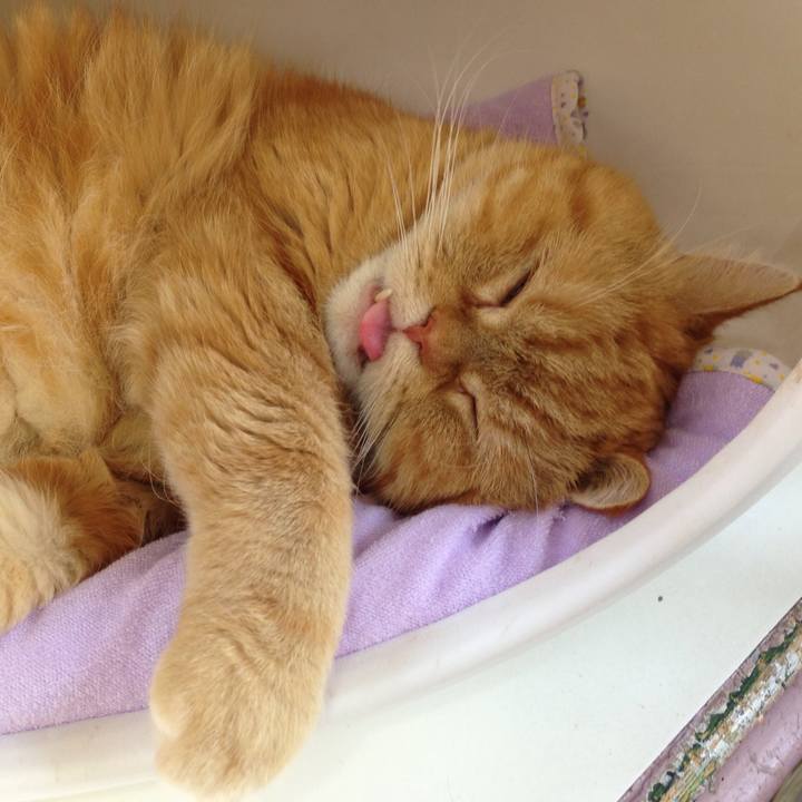 1419556c 3082 4c5b ad48 864842d6b2a1 1524977460784