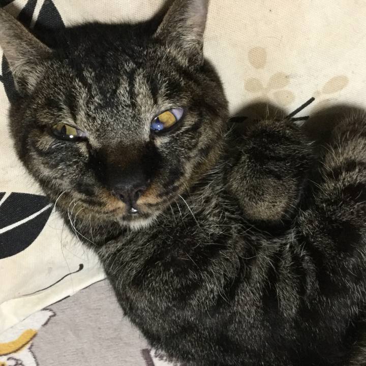 141961d1 0ab3 4483 ae23 91714d74a547 1619844079423