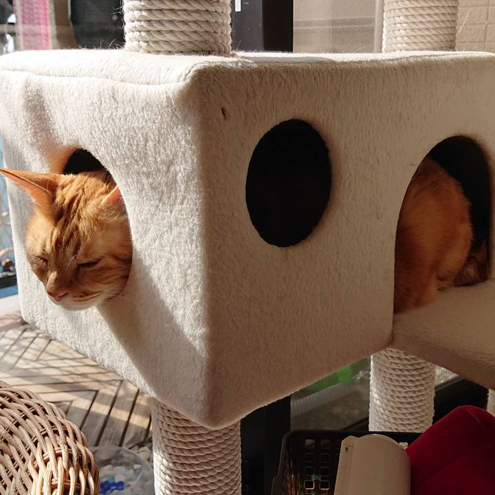 14196b7b c546 4829 9171 452482bc09ad 1543728193653