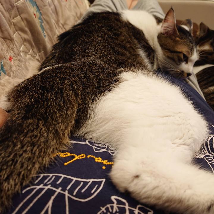 1419756d b0bc 4757 8dca 12269d9cf60d 1605792839473