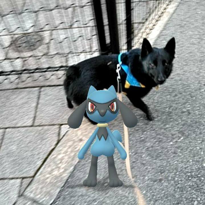 14198c35 e22d 4ce9 828c 7e940a423d12 1582238419089