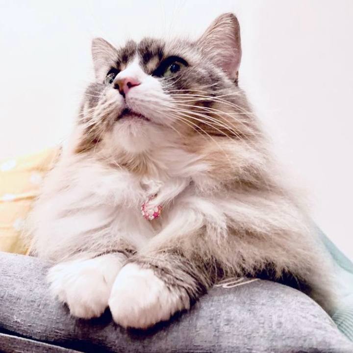 14199f55 642c 4793 b557 09f41926d474 1758987827816