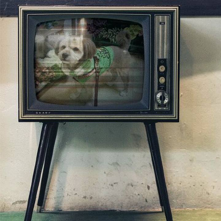 1419a259 cab5 4578 af6b dfb1a13121af 1513472994605