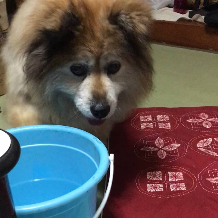 1419afc8 bef2 45ed b510 d99504d48f96 1634777459809