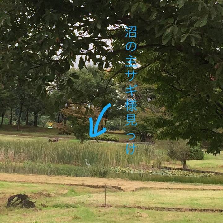 1419cac0 5078 4c8c a15e 36ef546c41f2 1556047287026