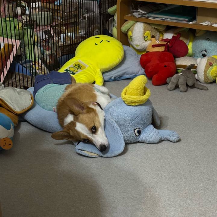 1419e28e 7393 4121 b168 2aecb5b83d4b 1758472190076