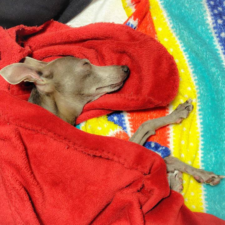 1419e681 2de4 4fae 831a 4837b6b22164 1769084961565