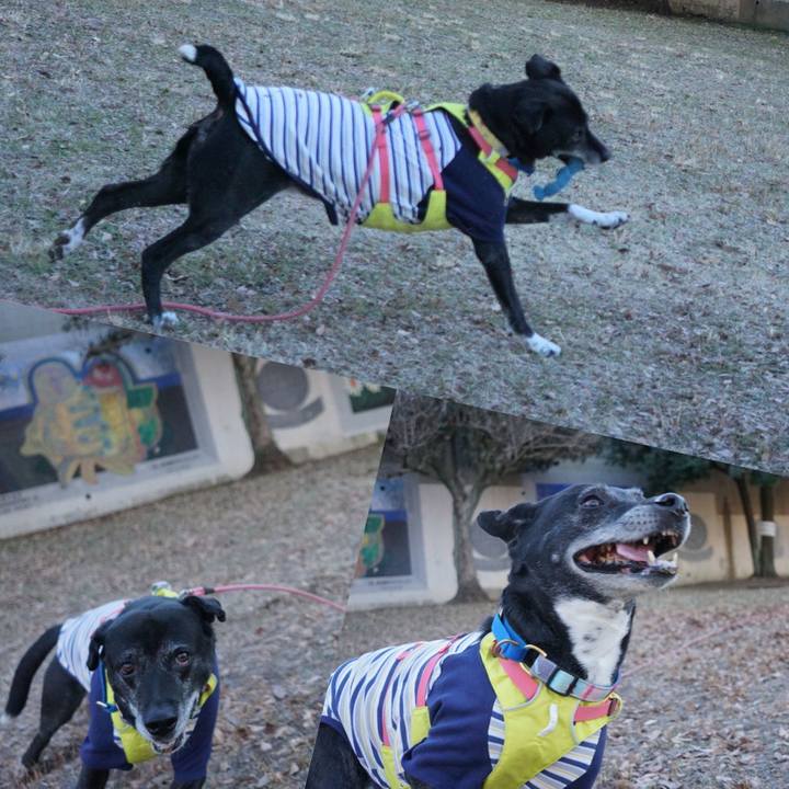 141a548e 0e37 4d18 b26c aaa8c86cf89a 1769127874881