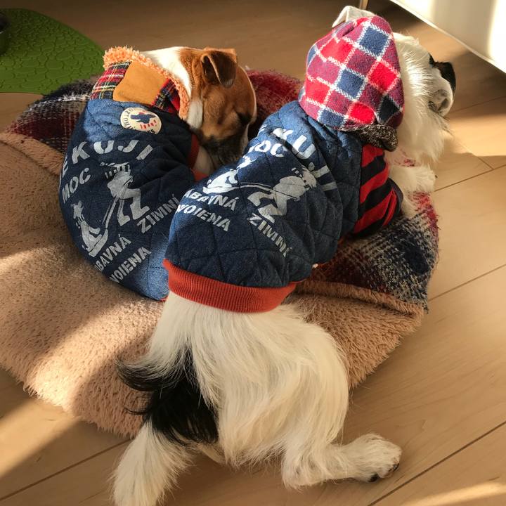 141a5663 babf 444c 9871 591c1be3dea4 1515991599756