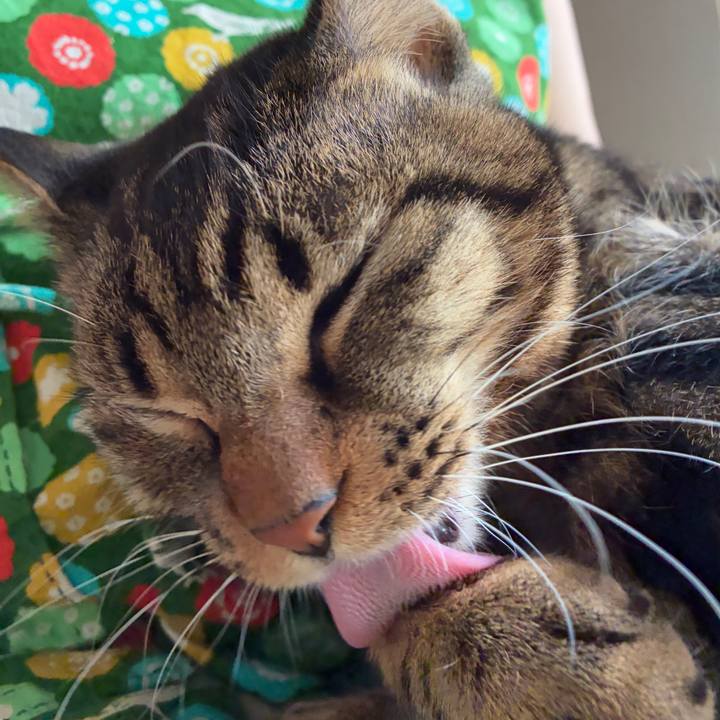 141a6bb8 b65d 4b0c a7ac cd5d2528cca8 1767496970563