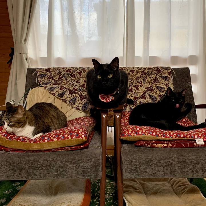 141a74a0 8936 4416 bac3 5370e8b299d6 1618393482393