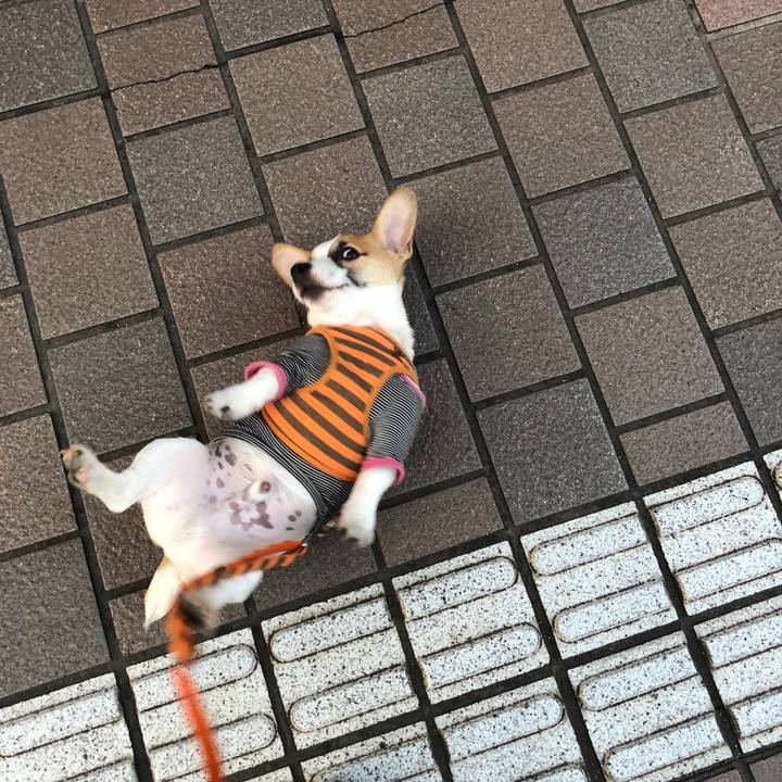 141a75b2 f2a6 43c9 9f79 966f245a65a3 1552093005643