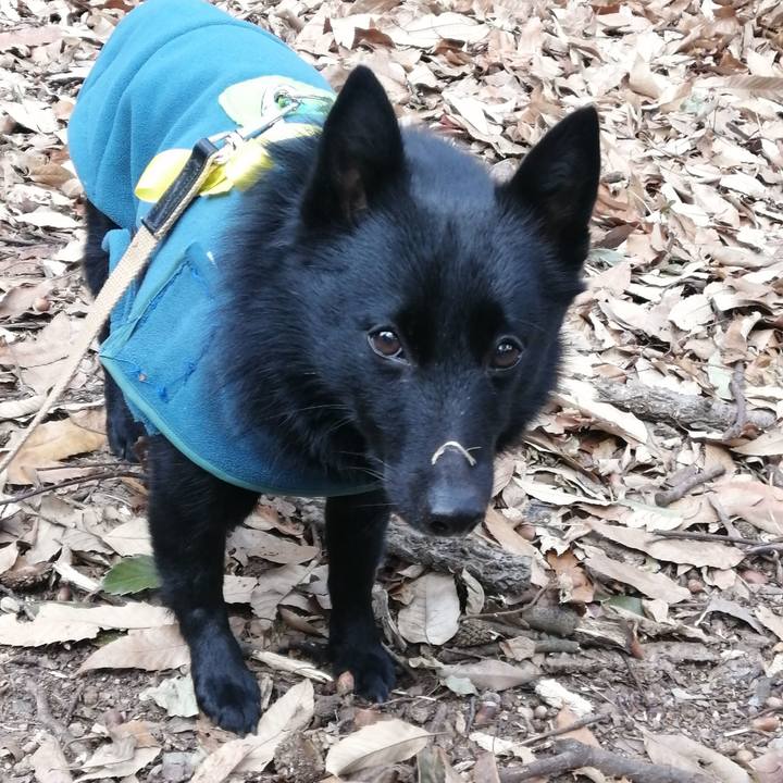 141aa0e5 2c76 4501 99f6 d1fca272562b 1642811238970