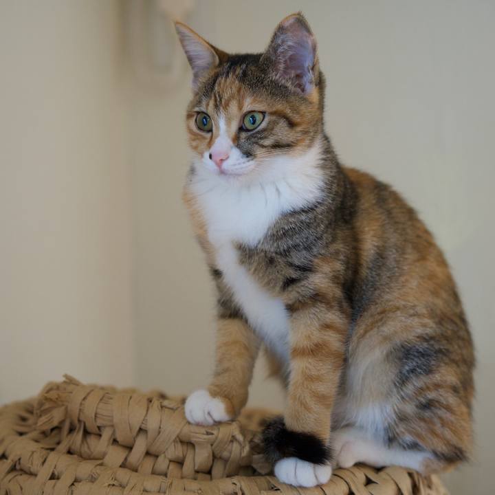 141aa797 68b2 47ce a435 8989c5a88cbf 1573775469244