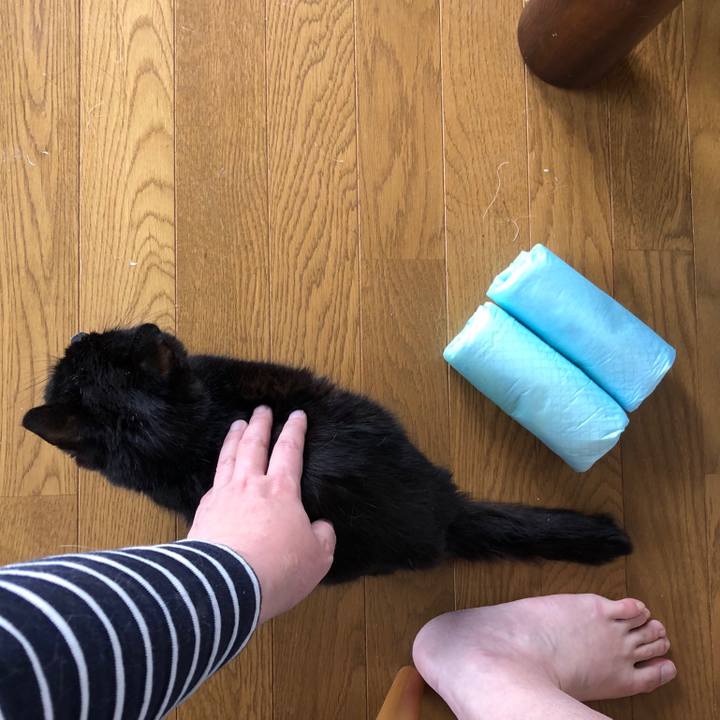 141adbe1 f6c0 4d8e ad10 b868594b8100 1557870659311