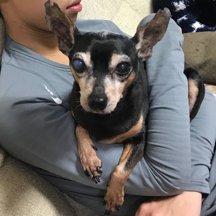 141b3c82 15aa 4548 8fdc 3859925a2fad 1553861786739