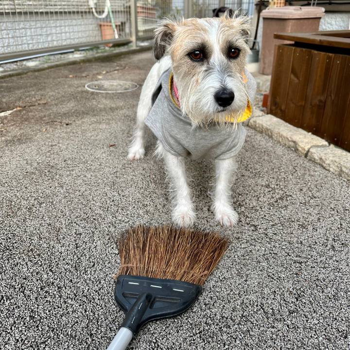 141b61cc 5d4f 42fa b3b5 189fa4713771 1698903844180