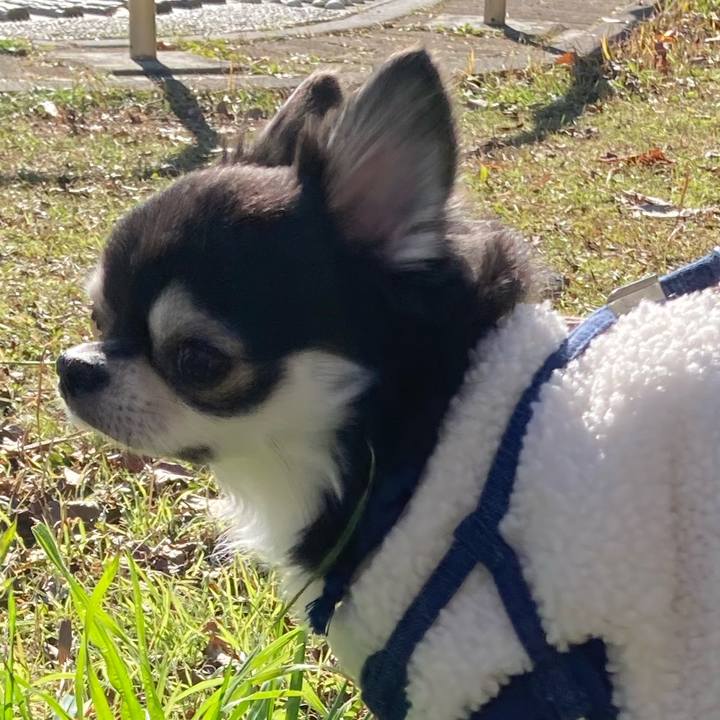 141b7f9c bb47 439b af44 682d5a838b08 1671512292659