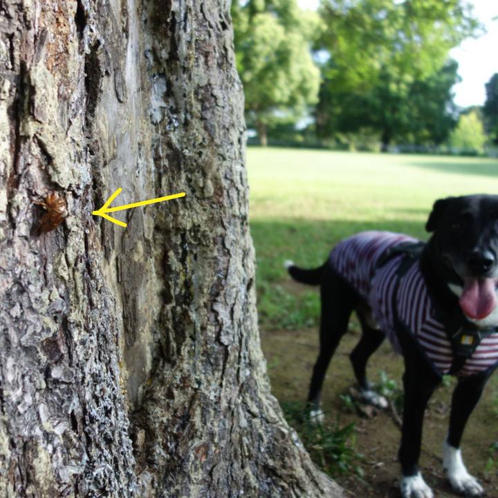 141b8dad 9b01 4069 90b9 bcd1256d2a7b 1659399024189