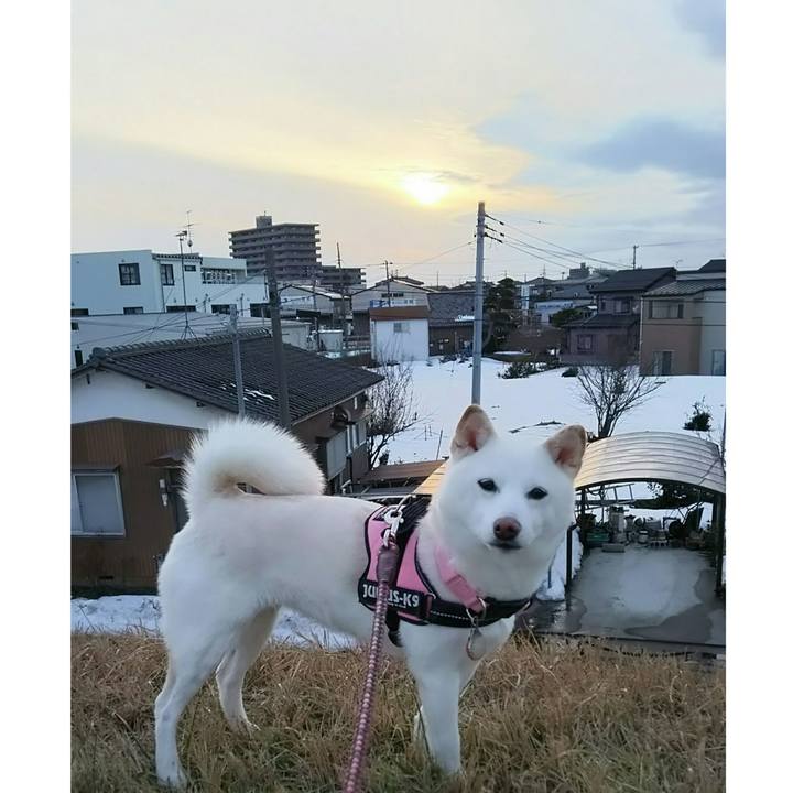 141b9526 e298 4a8e a3e3 c92ce9e282d4 1518776941301