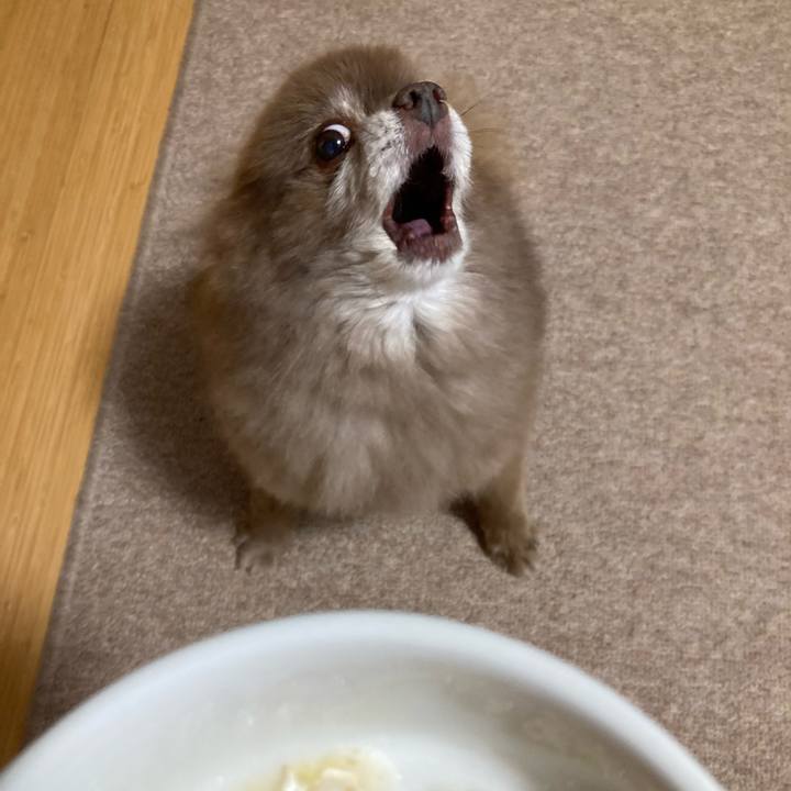 141b990b 5f6a 4d3f b877 d5b6e624870f 1664332871743