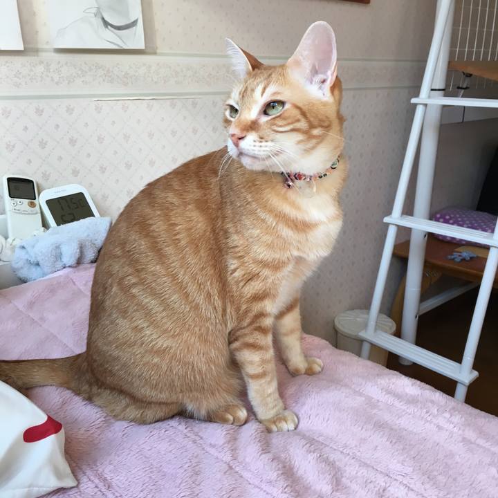 141bb649 6630 4636 8438 ec4572c91922 1550967514864