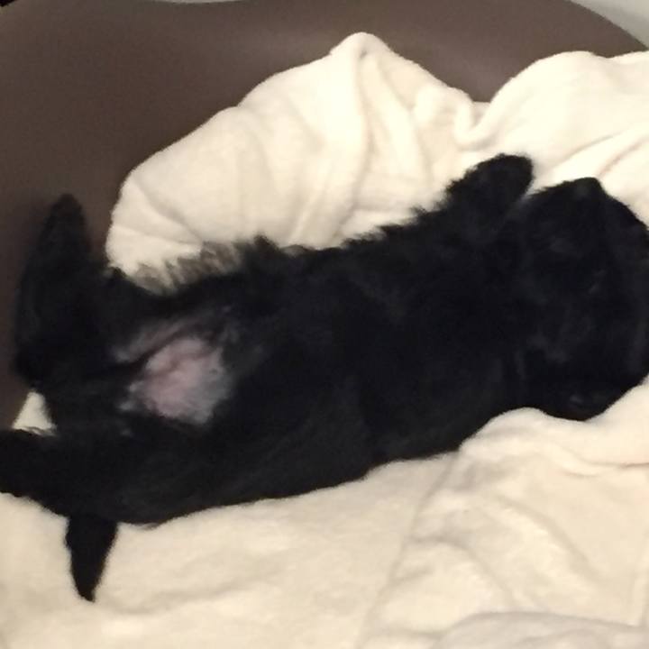 141bcf5f 8b6c 461d b636 c1595dce0a5a 1558794008538