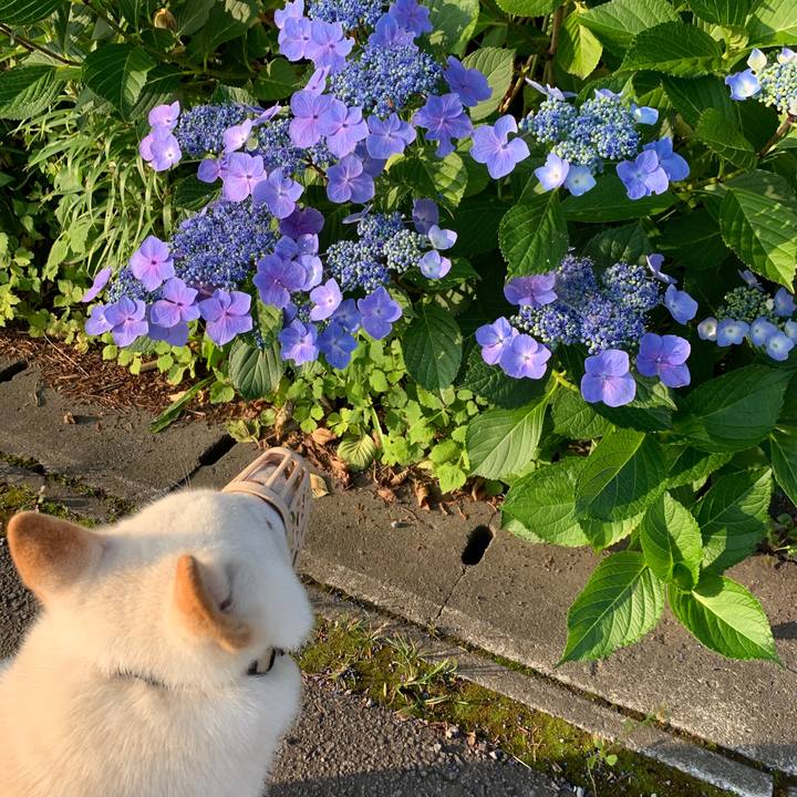 141bebd5 4103 434d af5c 37f115f9f390 1564264171709