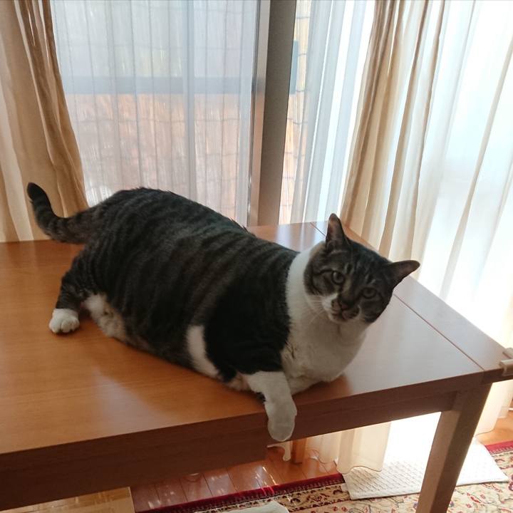 141c1dea 65b6 4423 90fd b66a413a2d92 1565215959127