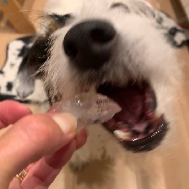 141c28ba 6bf7 400d a17b b28cf52a2dbf 1596373063569