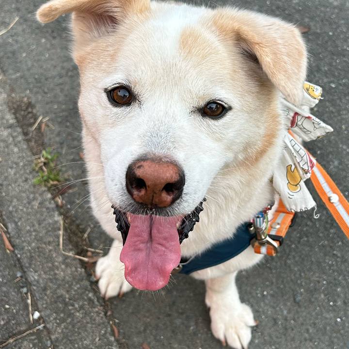 141ccbd3 2d33 4c24 a98e 2738ff57c0b0 1721478047985