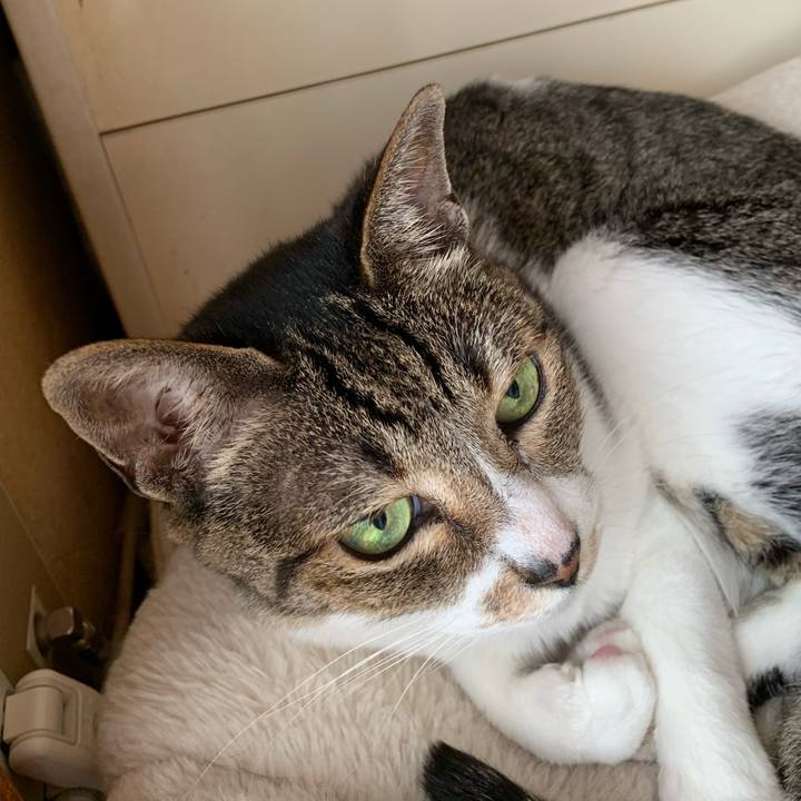 141cf5e8 faa6 48d4 ae9a 67fbe585adb6 1596157757429