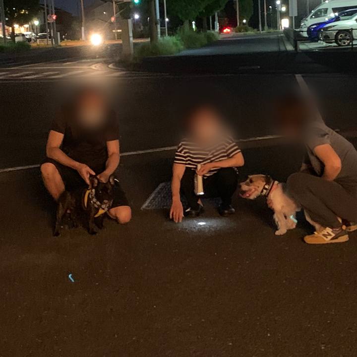 141cfa12 947e 414a 88cf ce07605eb3a4 1597577500607