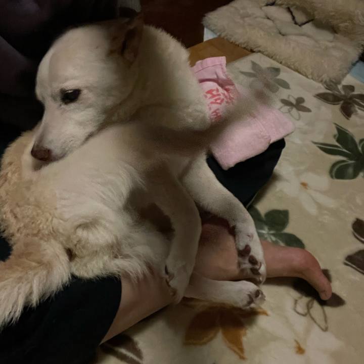 141d54e6 cd23 4b10 a5a5 bd54413b7d19 1669232178201