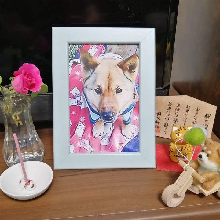 141dc582 b962 49fb 9ec9 c2bcc58a8a87 1660358918317