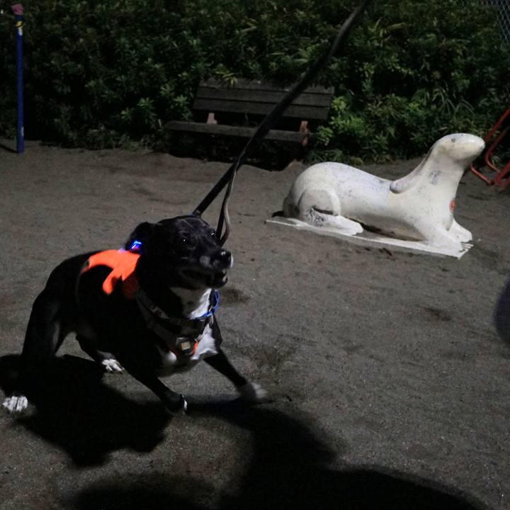 141dda05 e6b5 4ef3 a236 3ee3a3a9766a 1761090066366