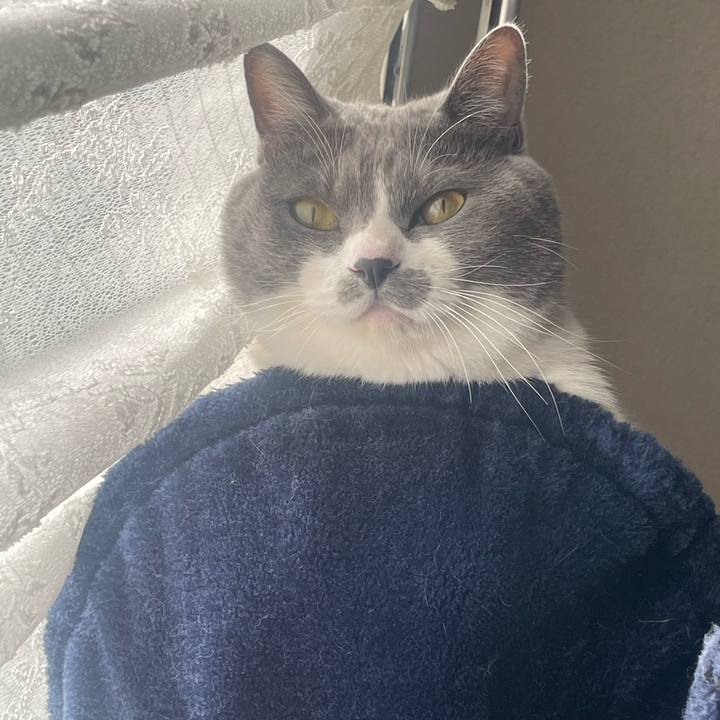 141e1f50 defc 4b2d a4c1 43b8f6c18af1 1734653960699