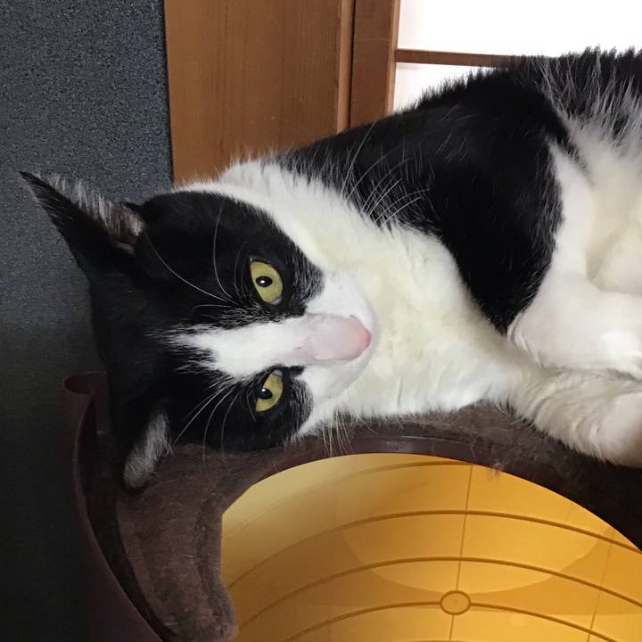 141e5917 8347 4dda b931 97b83caabff5 1752829963666