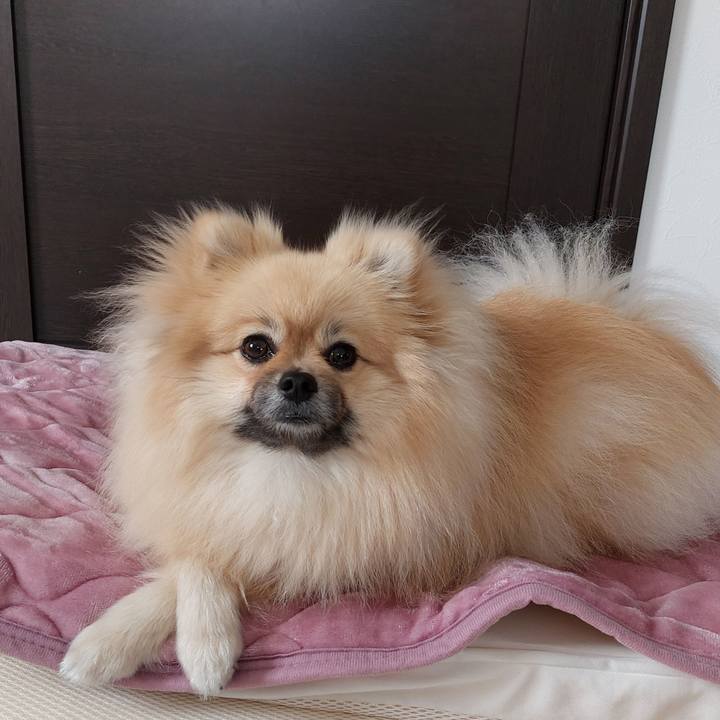 141e5def d45c 4ce0 bfcc 4370d129808a 1649388305252