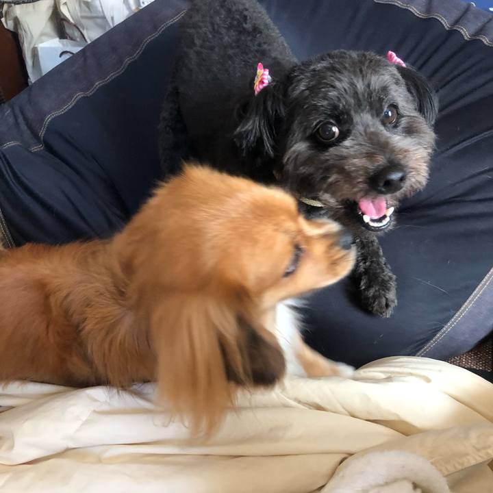 141e6667 0c7d 42af 9a0a af18947470d3 1537227088404