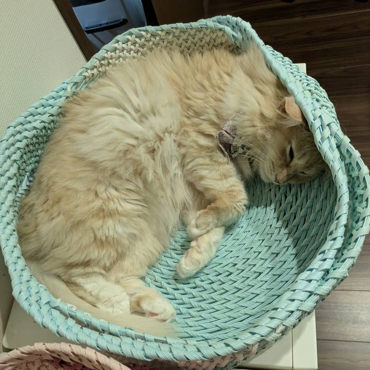 141ed024 80c0 4c1d bd66 0eb9e84d12d3 1757252516884