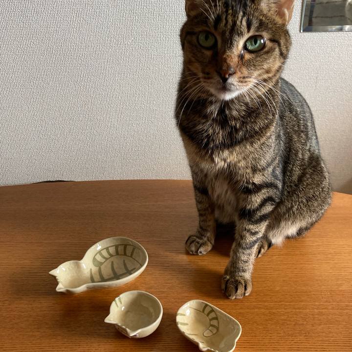 141edebc f6b6 44cd 8686 74848e440864 1727605657784