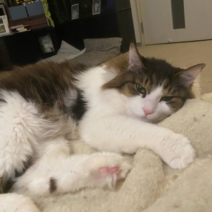 141eecce b1e6 4c5d a899 34ae0b12177b 1772322588288