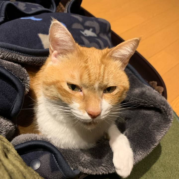 141f0086 49d9 4f59 bd8d b8931fb26c33 1679965563667