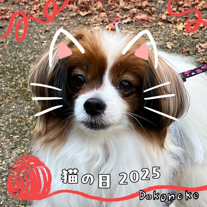 141f6b3f 4a3a 4936 aa0e d73a788c2114 1740121581816