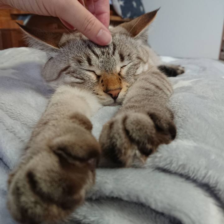 141f9f1a 4bf8 466b 9c53 3a48b11b5d49 1574474116916