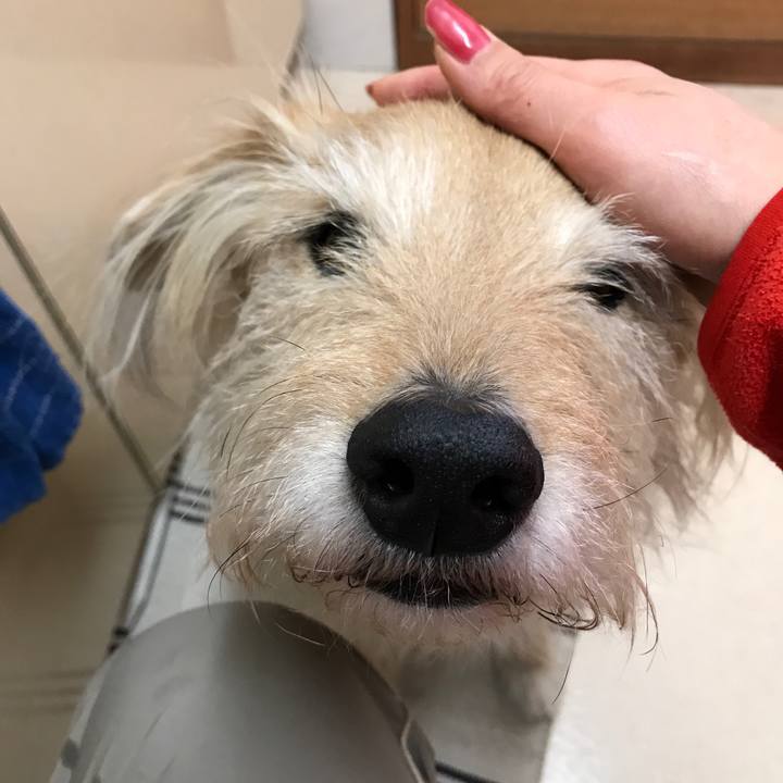 141fa433 4dd6 4d3c aba8 c28872c00ec6 1550100299358