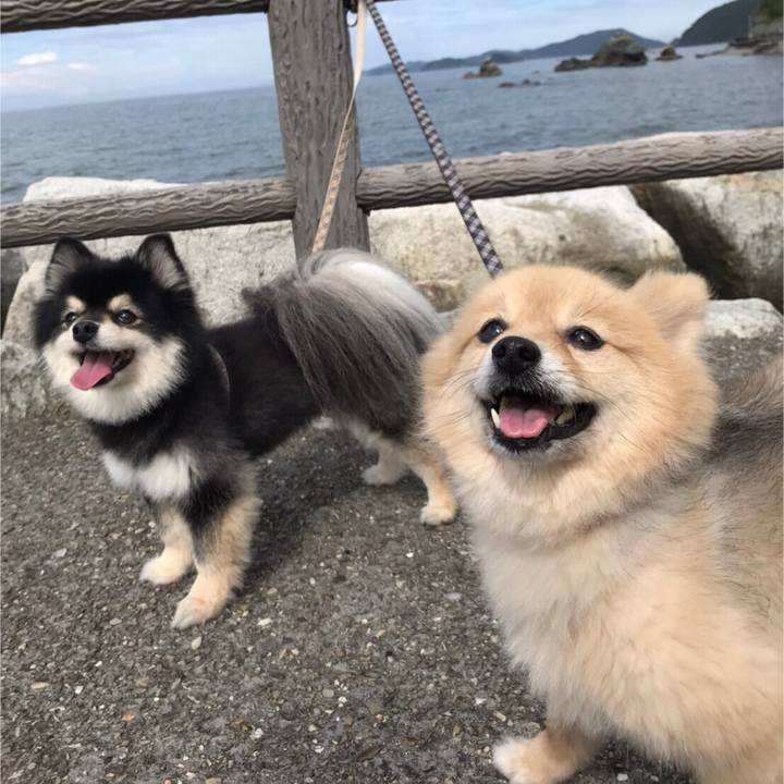 141fc4d3 eab8 4d63 ae30 6a4f291755e3 1593351226444