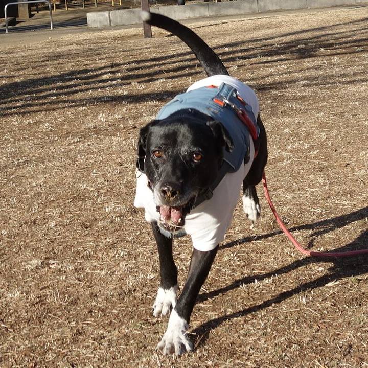 14201ae8 6688 4630 ab55 463d7fcb075f 1739580459193